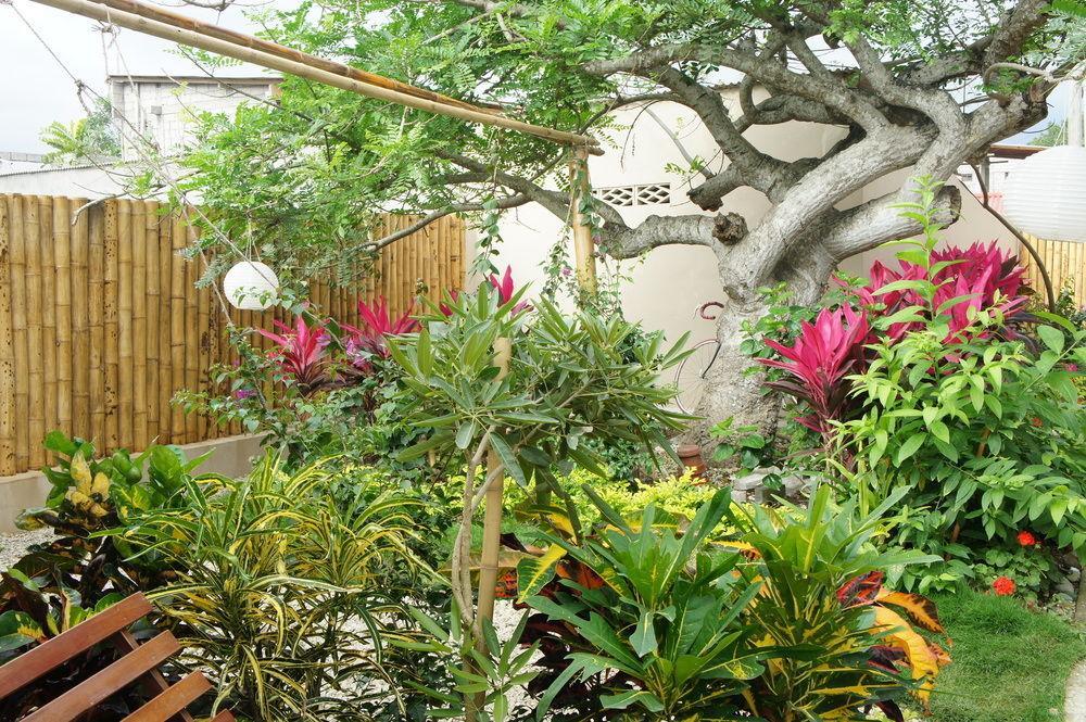 Rincon D'Olon Boutique Hotel Luaran gambar